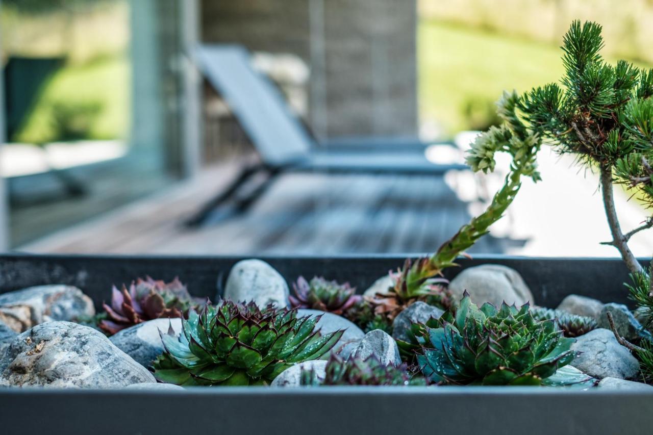 Luxury Panorama Apartment With Alpengold Spa Access Davos Exteriér fotografie